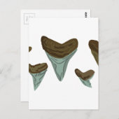 Carte Postale Dents de requin (Devant / Derrière)