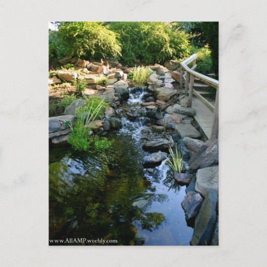 Carte postale Denver (Devant)