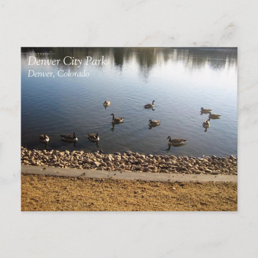 Carte Postale Denver City Park (Devant)