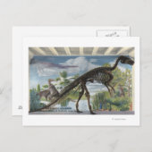 Carte Postale Denver, Colorado - Musée d'histoire naturelle (Devant / Derrière)