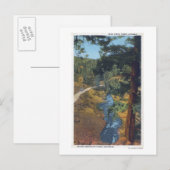 Carte Postale Denver Mountain Park, CO - Bear Creek Canyon (Devant / Derrière)