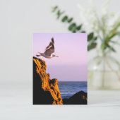 Carte Postale Départ de Seagull (Debout devant)