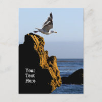 Départ de Seagull