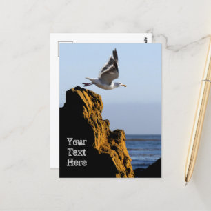 Carte Postale Départ de Seagull
