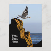 Carte Postale Départ de Seagull (Devant)