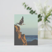 Carte Postale Départ de Seagull (Debout devant)