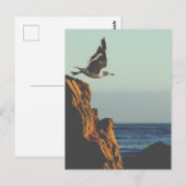Carte Postale Départ de Seagull (Devant / Derrière)