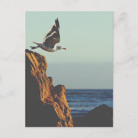 Carte Postale Départ de Seagull (Devant)