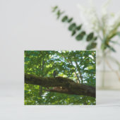 Carte Postale Dépassement de forêt (Debout devant)