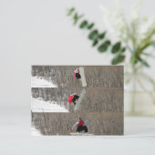 Carte Postale Déplacé (Debout devant)