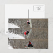 Carte Postale Déplacé (Devant / Derrière)