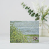 Carte Postale Déplacement délicat (Debout devant)