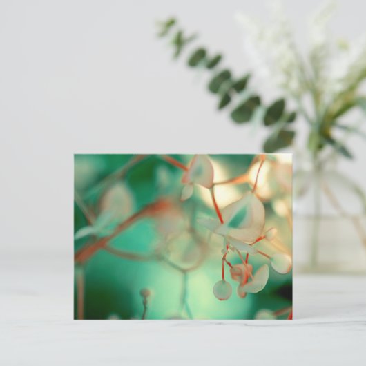 Carte Postale Déposer (Debout devant)