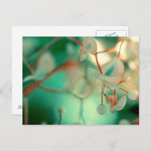 Carte Postale Déposer (Devant / Derrière)