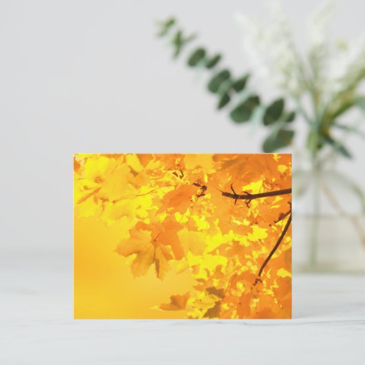 Carte postale d'érable jaune (Debout devant)