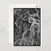 Carte postale déracinée (Devant / Derrière)