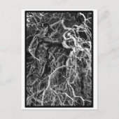 Carte postale déracinée (Devant)