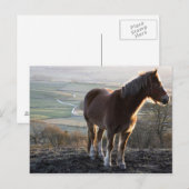 Carte Postale Derbyshire, Angleterre (Devant / Derrière)