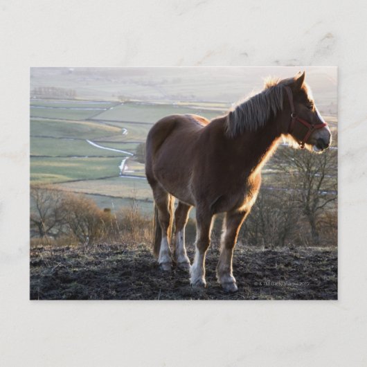 Carte Postale Derbyshire, Angleterre (Devant)