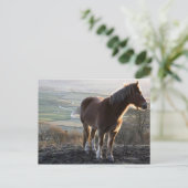 Carte Postale Derbyshire, Angleterre (Debout devant)