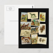Carte Postale Dérhound écossais : vintage (Devant / Derrière)