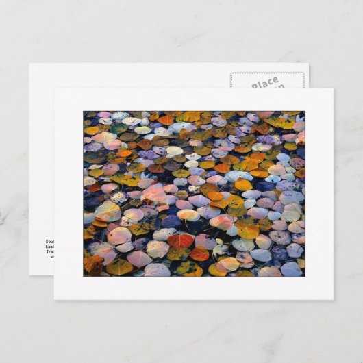 Carte Postale "Dérive silencieuse" (Devant / Derrière)