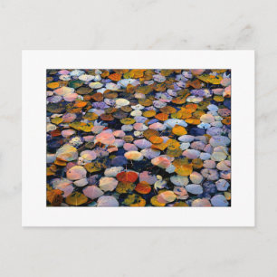 Carte Postale "Dérive silencieuse"