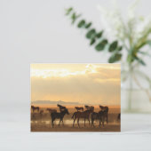 Carte Postale Dernier appel (Debout devant)