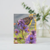 Carte Postale Dernier papillon Monarque (Debout devant)