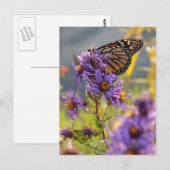 Carte Postale Dernier papillon Monarque (Devant / Derrière)