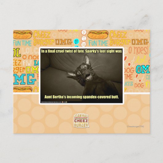 Carte Postale Dernière vue Sparky (Devant)