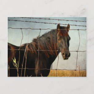 Carte Postale Derrière la clôture, cheval abstrait