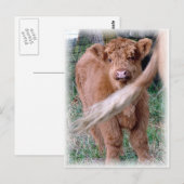 Carte Postale derrière la queue de maman (Devant / Derrière)