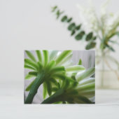 Carte Postale Derrière les scènes (Debout devant)