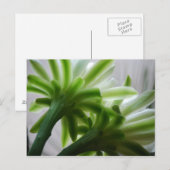 Carte Postale Derrière les scènes (Devant / Derrière)