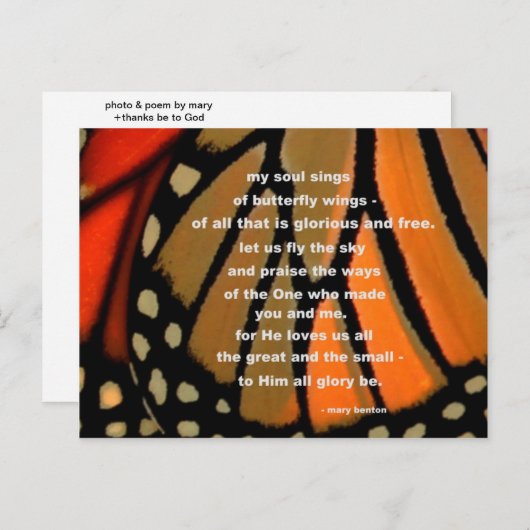 Carte Postale Des ailes papillon (Devant / Derrière)