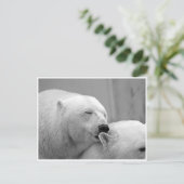 Carte postale des amis ours polaire (Debout devant)