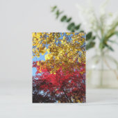 Carte postale des arbres d'automne (Debout devant)