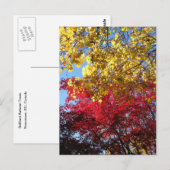 Carte postale des arbres d'automne (Devant / Derrière)