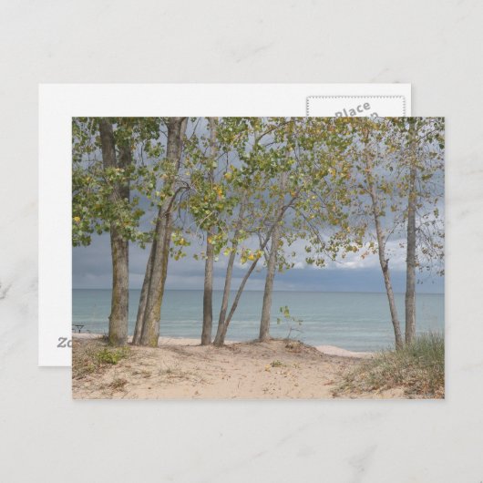 Carte postale des arbres de plage (Devant / Derrière)