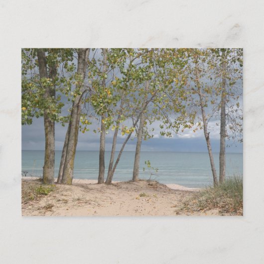 Carte postale des arbres de plage (Devant)