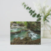 Carte postale des bassins de la cascade de la forê (Debout devant)