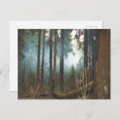 Carte postale des bois enfumés (Devant / Derrière)