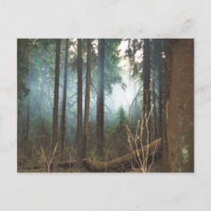 Carte postale des bois enfumés