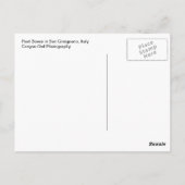 Carte postale des boîtes postales italiennes (Dos)