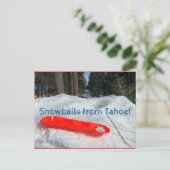 Carte Postale Des boules de neige de Tahoe ! (Debout devant)
