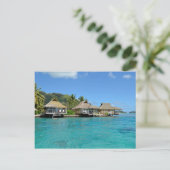 Carte postale des bungalows Moorea (Debout devant)