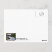 Carte postale des Canaux de Venice Beach ! (Dos)