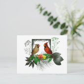Carte postale des Cardinals (Debout devant)