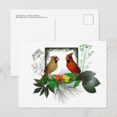 Carte postale des Cardinals (Devant / Derrière)